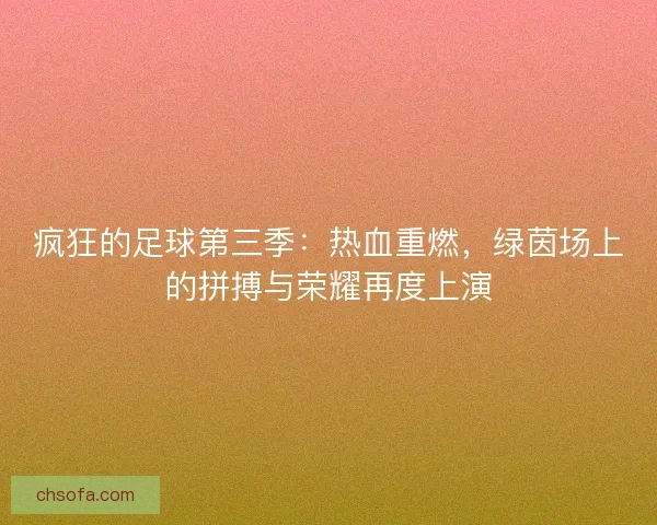 疯狂的足球第三季：热血重燃，绿茵场上的拼搏与荣耀再度上演